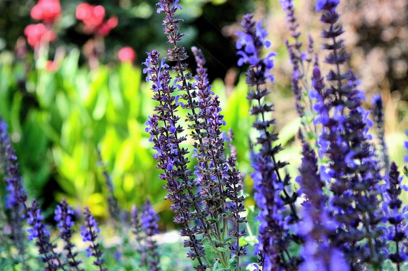 Herb Markers